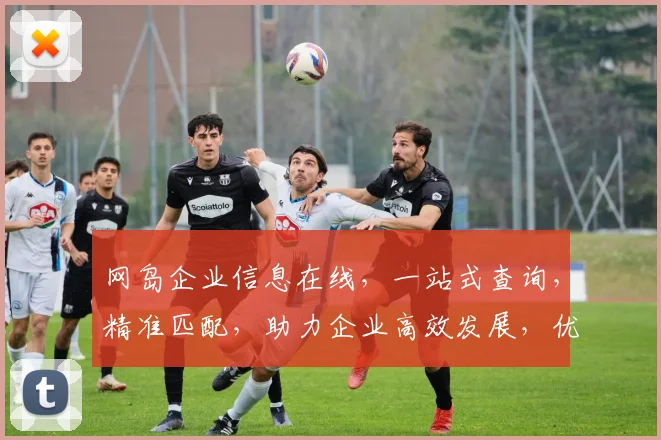 网岛企业信息在线，一站式查询，精准匹配，助力企业高效发展，优化资源，提升竞争力。