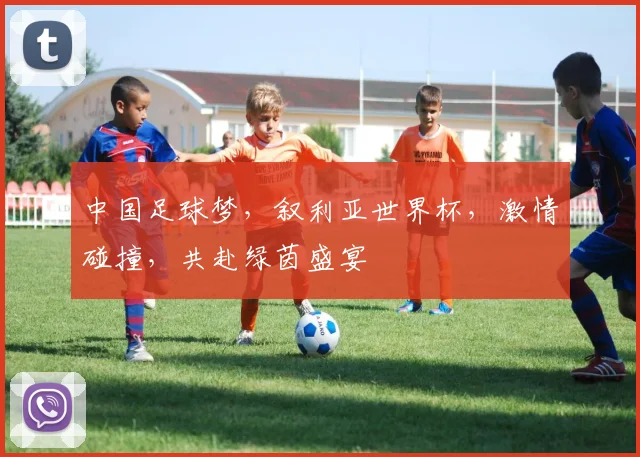 中国足球梦，叙利亚世界杯，激情碰撞，共赴绿茵盛宴